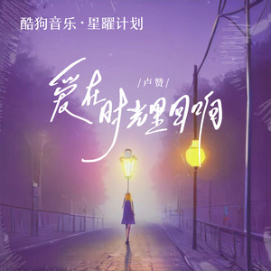 卢赞 - 爱在时光里回响