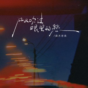 曲木老表 - 风又吹过眼里的愁（人生不过一场醉）