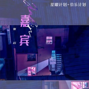 张远 - 嘉宾