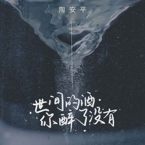 陶安平 - 世间的酒你醉了没有 (DJ默涵版)