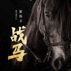 崔伟立 - 战马 (DJ默涵版)