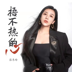 张冬玲 - 捂不热的心（DJ阿远版）