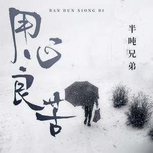 半吨兄弟 - 用心良苦 (DJ九零版)