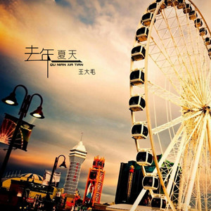 王大毛 - 去年夏天