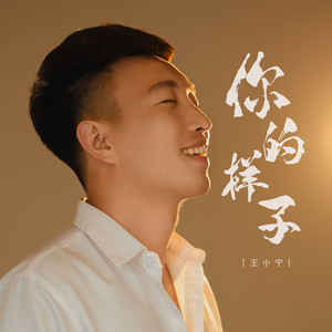 王小宁 - 你的样子 (DJ版)