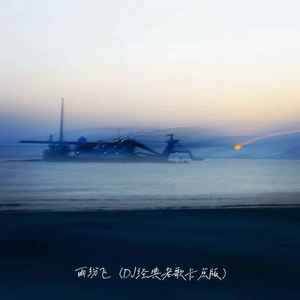 DJ铁柱 - 分飞 (雨纷飞DJ版)