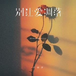 卢润泽 - 别让爱凋落 (卡点节奏版)