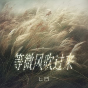 田园 - 等微风吹过来 (DJ九零版)