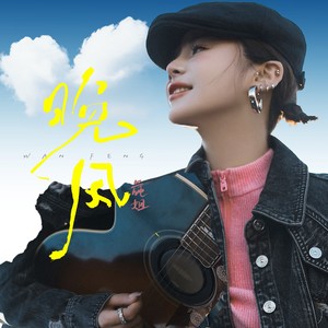 花姐 - 晚风 (DJ九零版)