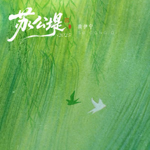 黄伊宁 - 苏公堤·2025