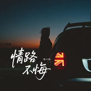 陈小楠 - 情路不悔