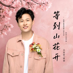 王良辰 - 等到山花开(DJ何鹏版)