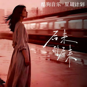 田园 - 后来的后来 (后来的我们没有结果)