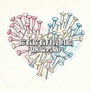 大头针 Official - 你看你看月亮的脸
