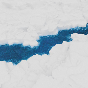 Top Barry&INDEcompany - 一半一半