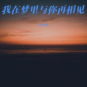 杨小萌 - 我在梦里与你再相见（我在菩提树下求过签）