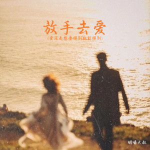 烟嗓大叔 - 放手去爱(爱不是想要得到就能得到)