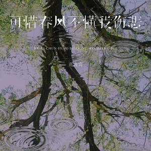 范贵宾 - 可惜春风不懂我伤悲