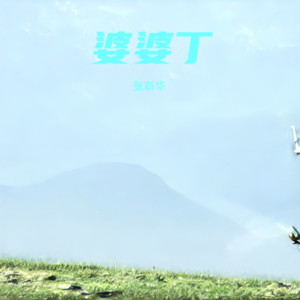 张新华 - 婆婆丁 (DJ)