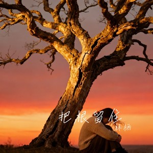 林栖 - 把根留住（深情版）
