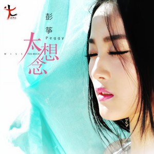 彭筝 - 太想念